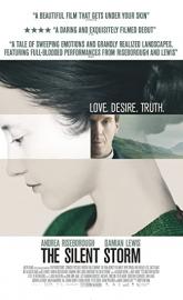 The Silent Storm poster