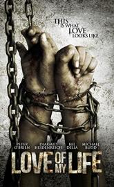 Love of My Life poster