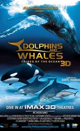 Dolphins and Whales 3D: Tribes of the Ocean poster