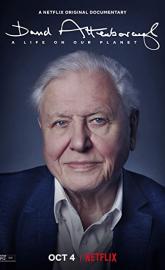 David Attenborough: A Life on Our Planet poster