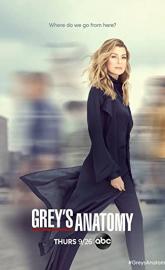Greys Anatomy poster