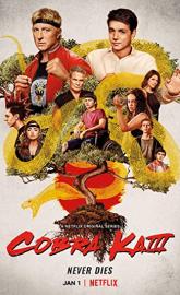 Cobra Kai poster