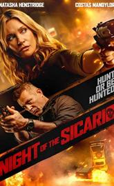 Night of the Sicario poster