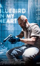 A Bluebird in My Heart poster
