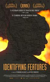 Identifying Features poster