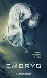 Embryo poster