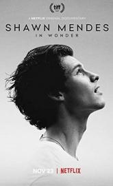 Shawn Mendes: In Wonder poster
