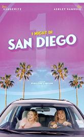 1 Night in San Diego poster