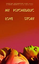 My Psychedelic Love Story poster