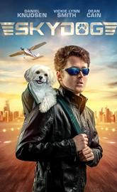 Skydog poster