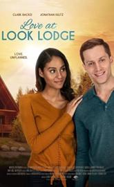 Love at Look Lodge poster