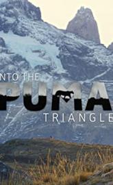 Into the Puma Triangle poster