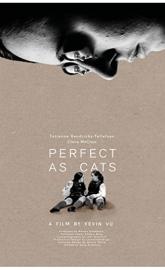 Perfect as Cats poster