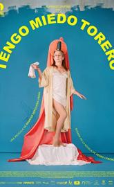 My Tender Matador poster