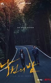 Night in Paradise poster