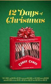 Twelve Days of Christmas poster