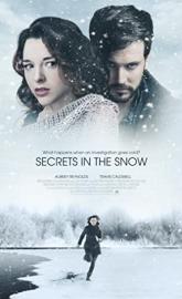 Secrets in the Snow poster