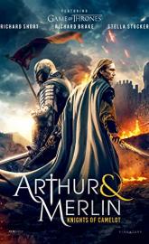Arthur & Merlin: Knights of Camelot poster