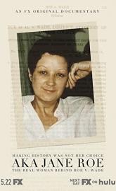 AKA Jane Roe poster