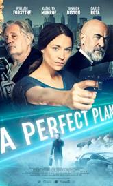 A Perfect Plan poster
