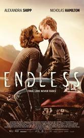 Endless poster