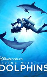 Diving with Dolphins poster