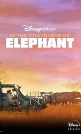 In the Footsteps of Elephant poster