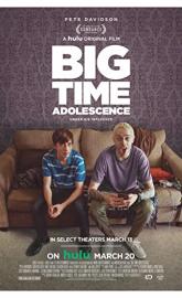 Big Time Adolescence poster