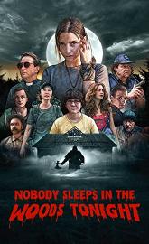 Nobody Sleeps in the Woods Tonight poster
