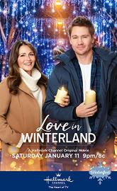 Love in Winterland poster