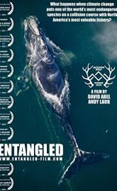 Entangled: The Race to Save Right Whales from Extinction poster