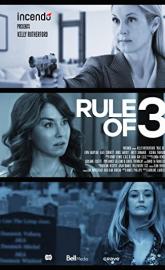 All My Husband's Wives poster