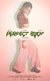 Perfect Body poster