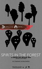 Spirits in the Forest poster