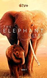 The Elephant Queen poster