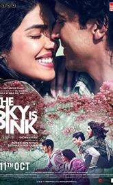 The Sky Is Pink poster