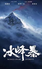 Wings Over Everest poster