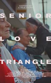 Senior Love Triangle poster