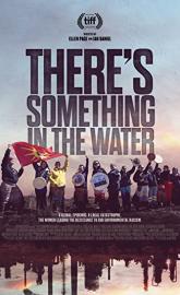 There's Something in the Water poster