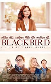 Blackbird poster