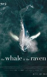 The Whale and the Raven poster