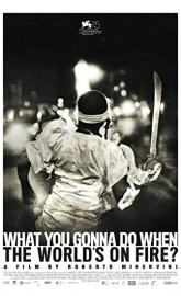 What You Gonna Do When the World's on Fire? poster