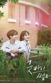 Goodbye Summer poster