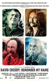 David Crosby: Remember My Name poster