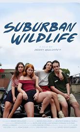 Suburban Wildlife poster