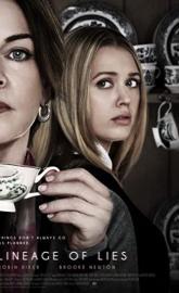 Psycho Granny poster