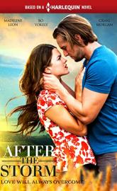 After the Storm poster