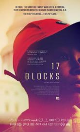 17 Blocks poster
