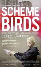 Scheme Birds poster