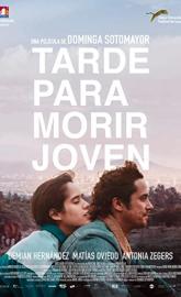 Too Late to Die Young poster